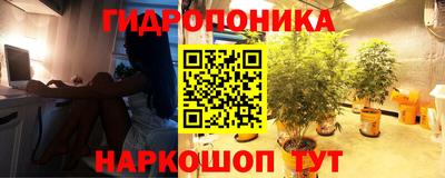 трава Аша